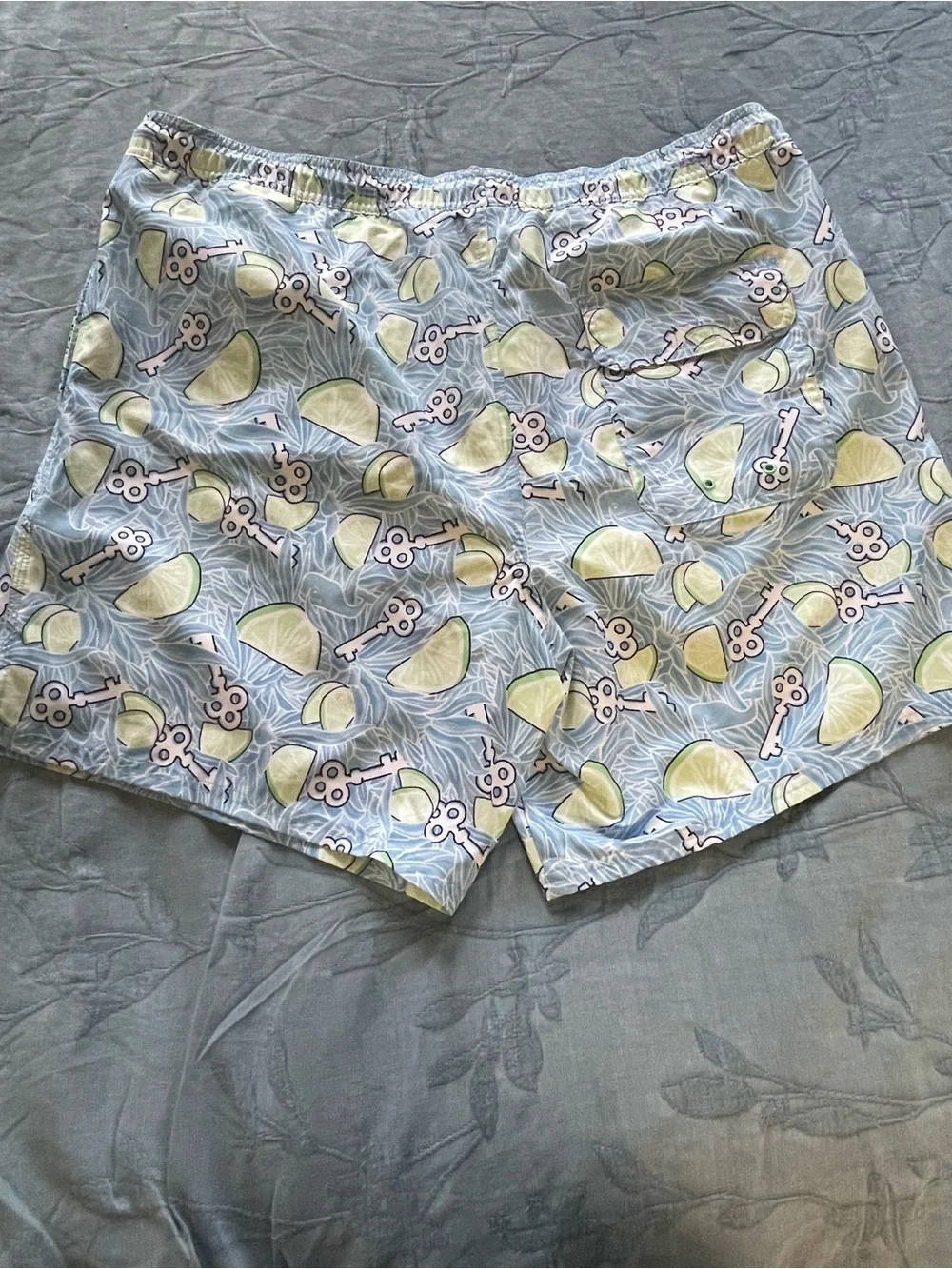 Vineyard Vines Men's Light Blue Swim Trunks with Lime Slice Print